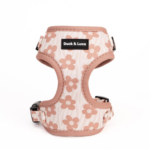 Dog Harness - Brown Daisy