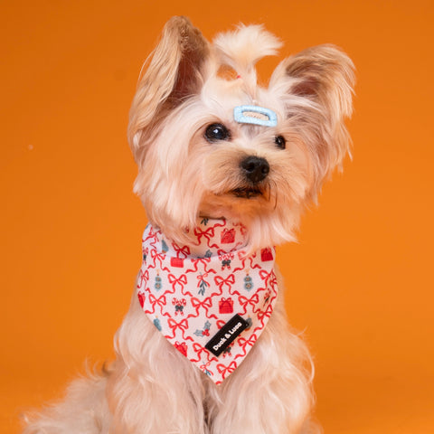 Dog Bandana - Christmas Scroll Bows