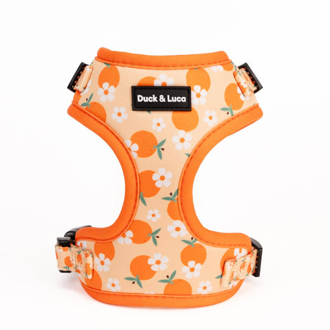 Dog Harness - Orange and Daisy