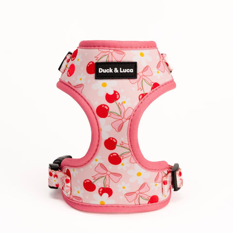 Dog Harness - Cherry Bow