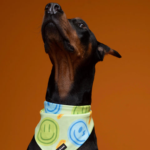 Dog Bandana - Neon Lime Happy Face, New puppy gift, Dog mom Gift, Over The Collar Soft Tie On Dog Bandana