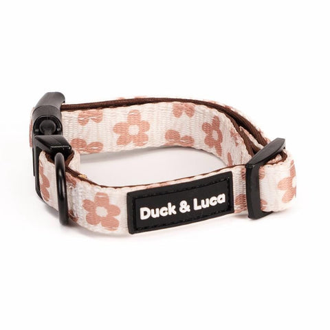 Adjustable Dog Collar - Brown Daisy