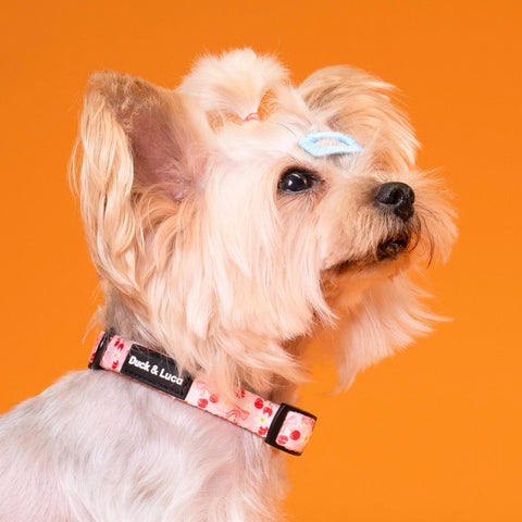Adjustable Dog Collar - Cherry Bow