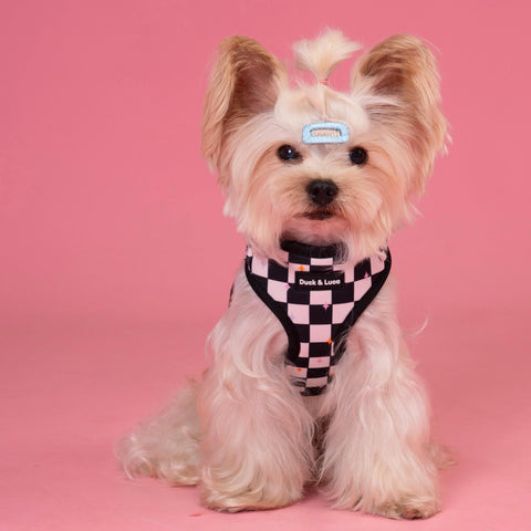Adjustable Dog Harness - Checkerboard Pastel Stars