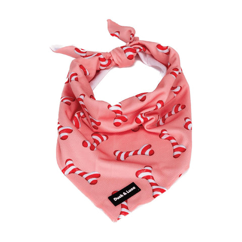 Dog Bandana - Christmas Bone Candy Cane, New puppy gift, Dog mom Gift, Over The Collar Soft Tie On Dog Bandana