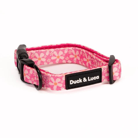 Adjustable Dog Collar - Groovy Pink Flower