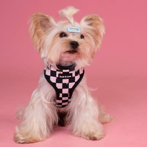 Adjustable Dog Harness - Checkerboard Pastel Stars