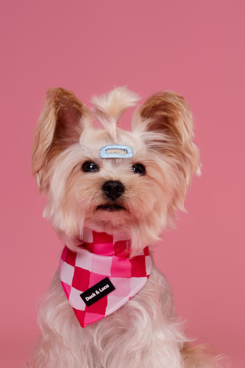Dog Bandana - Valentine's Checkered, New puppy gift, Dog mom Gift, Over The Collar Soft Tie On Dog Bandana