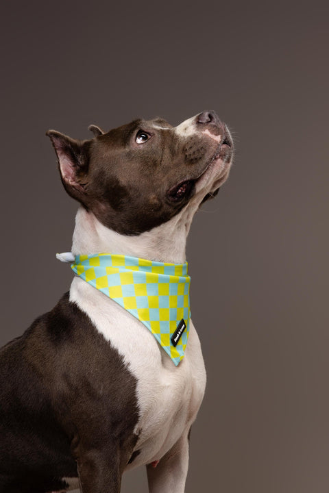Dog Bandana - Retro Checkerboard, New puppy gift, Dog mom Gift, Over The Collar Soft Tie On Dog Bandana