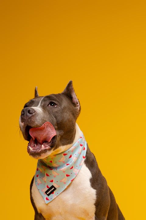 Dog Bandana - Blue Pelican, New puppy gift, Dog mom Gift, Over The Collar Soft Tie On Dog Bandana