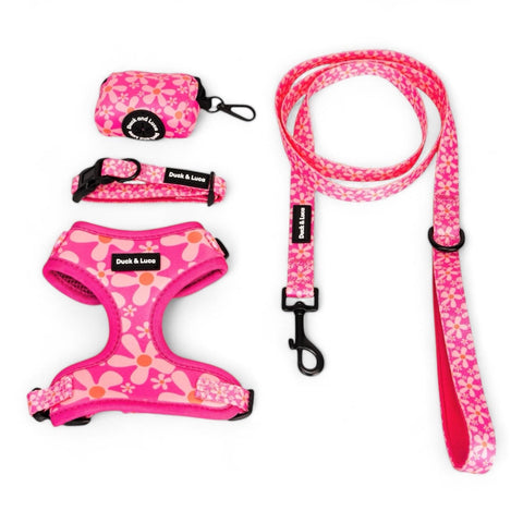 Groovy Pink Flower, 4-Piece Bundle set - Adjustable Dog Harness, Collar, Dog Poop Bag Holder and Leash