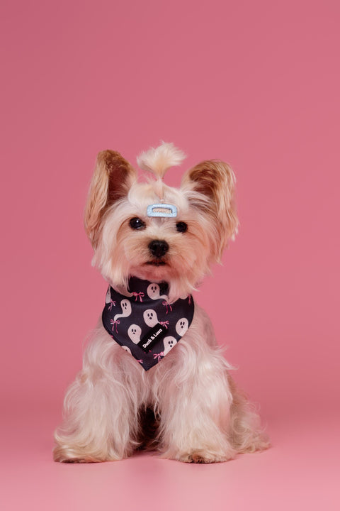 Dog Bandana - Ghosts and Bows Halloween, New puppy gift, Dog mom Gift, Over The Collar Soft Tie On Dog Bandana