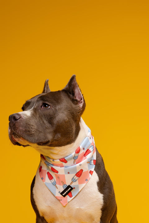 Dog Bandana - Fourth of July Popsicle, New puppy gift, Dog mom Gift, Over The Collar Soft Tie On Dog Bandana