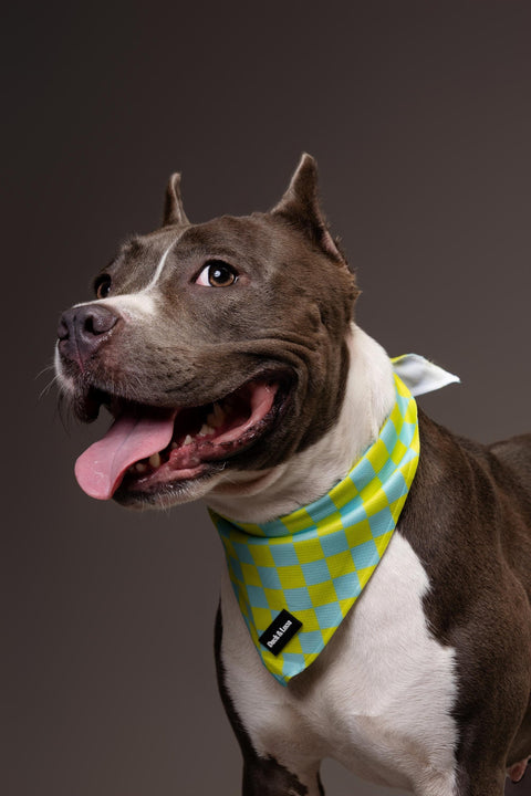 Dog Bandana - Retro Checkerboard, New puppy gift, Dog mom Gift, Over The Collar Soft Tie On Dog Bandana