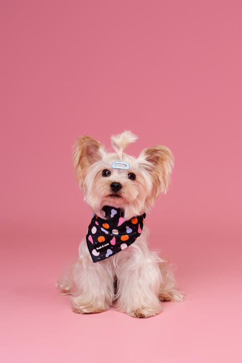 Dog Bandana - Bright Pumpkin, New puppy gift, Dog mom Gift, Over The Collar Soft Tie On Dog Bandana