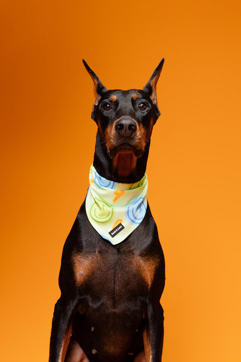 Dog Bandana - Neon Lime Happy Face, New puppy gift, Dog mom Gift, Over The Collar Soft Tie On Dog Bandana