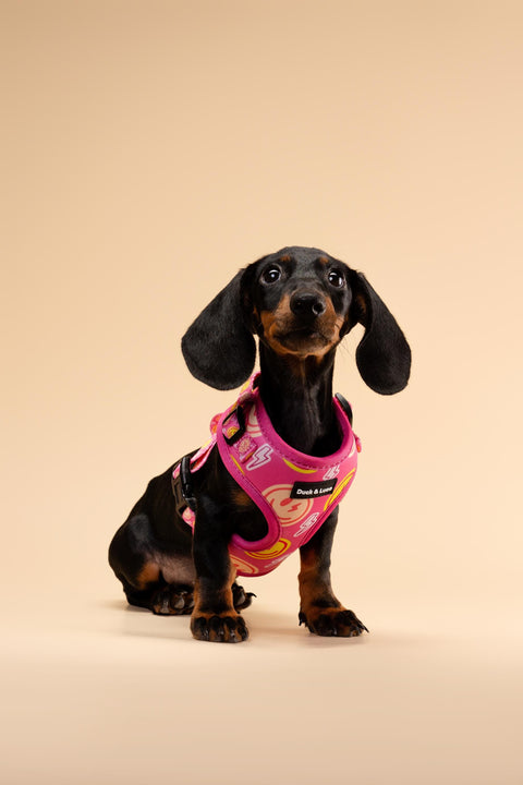 Adjustable Dog Harness - Neon Pink Happy Face