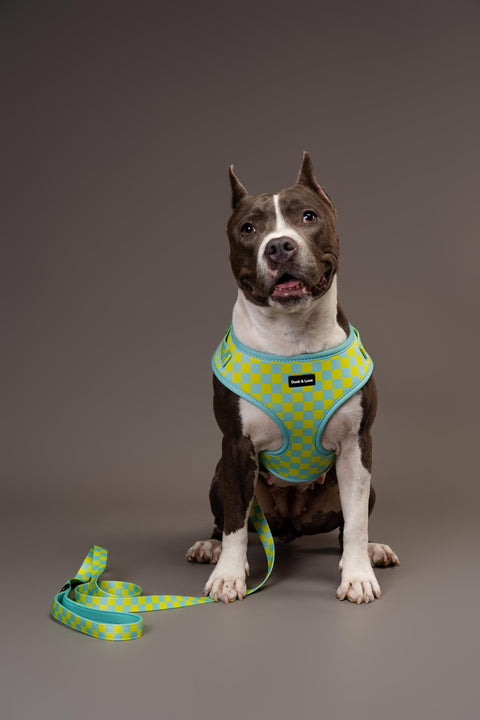 Adjustable Dog Harness - Retro Checkerboard